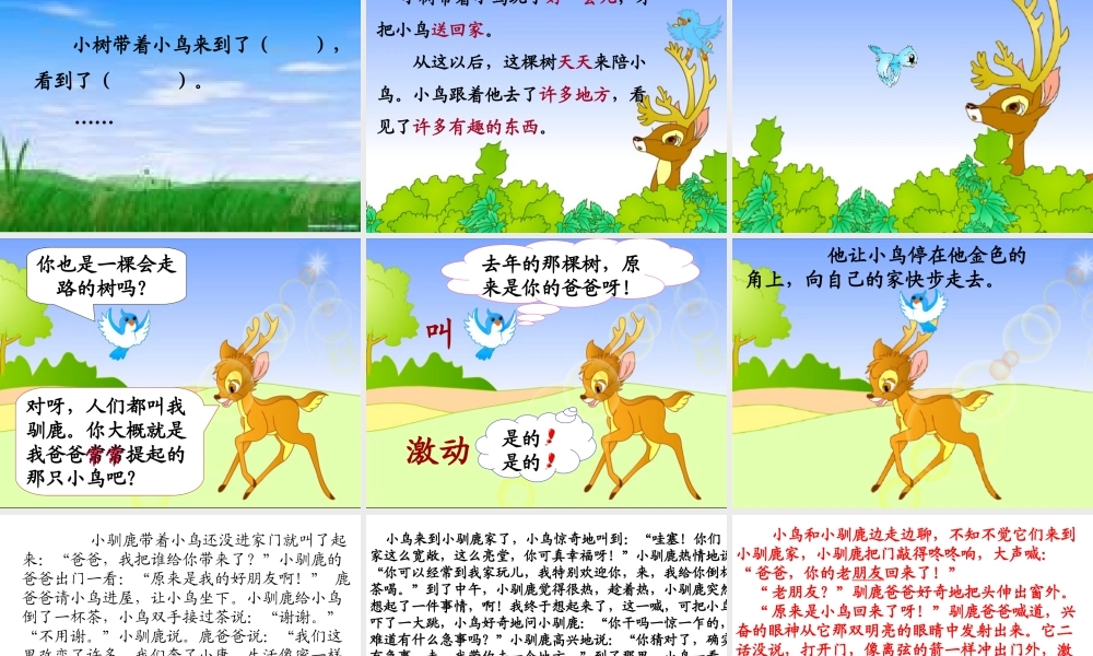 《会走路的树》教学课件