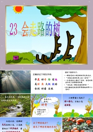《会走路的树》教学课件