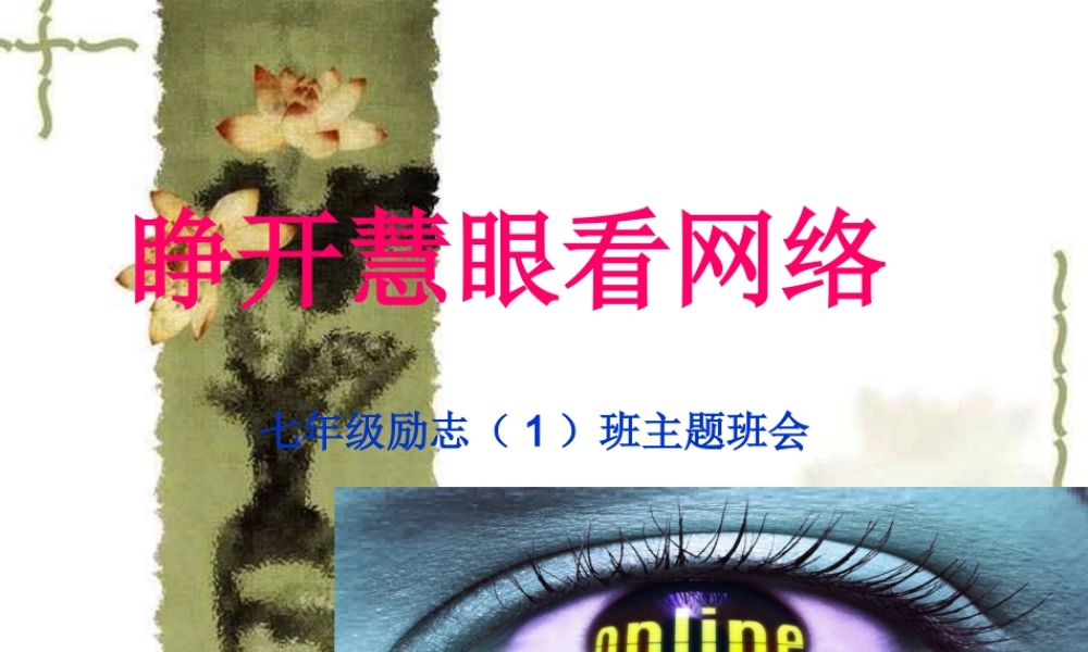 睁开慧眼看网络主题班会