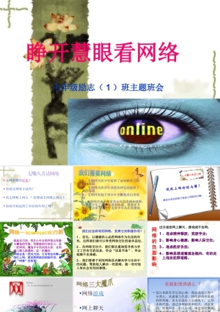 睁开慧眼看网络主题班会