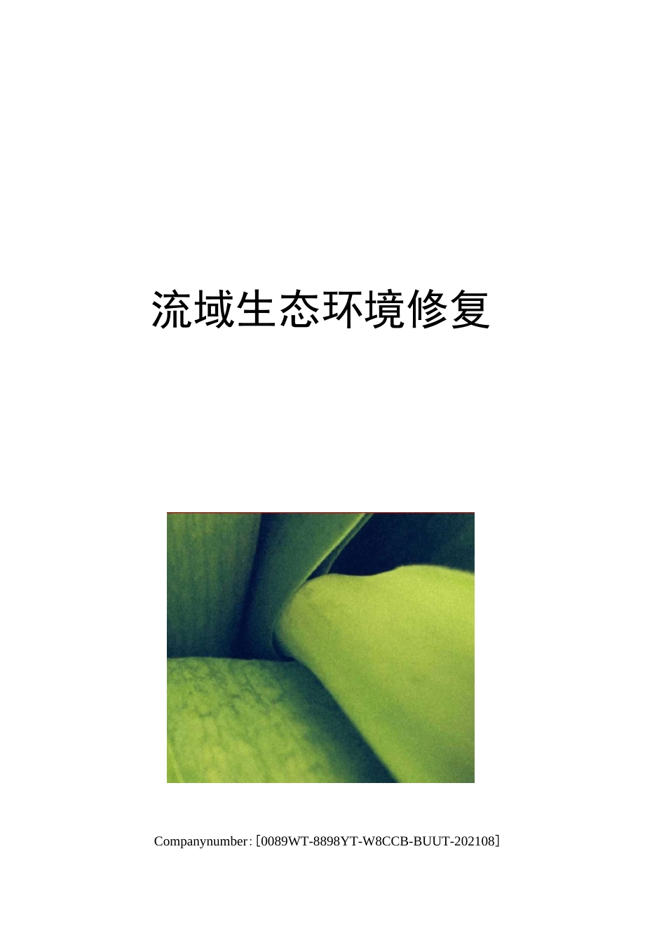 流域生态环境修复_第1页