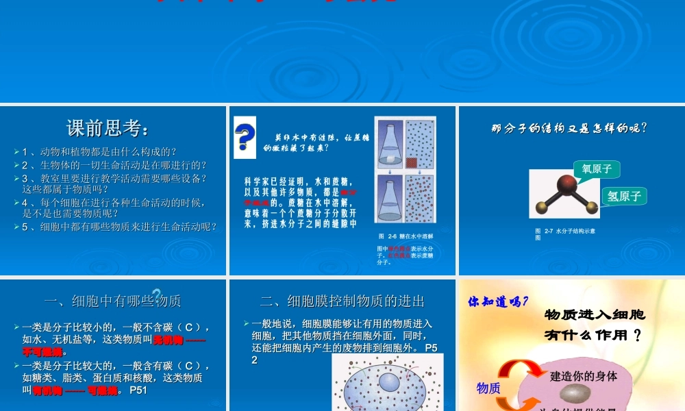 第二章____细胞生活第一节细胞的生活需要物质和能量