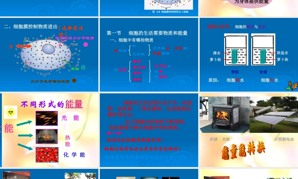 第二章____细胞生活第一节细胞的生活需要物质和能量