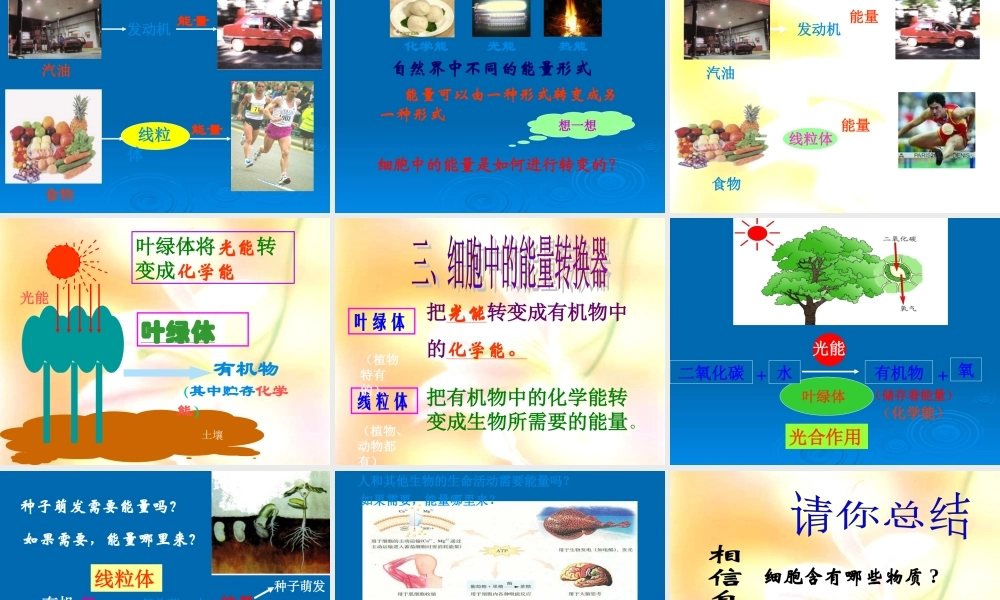 第二章____细胞生活第一节细胞的生活需要物质和能量