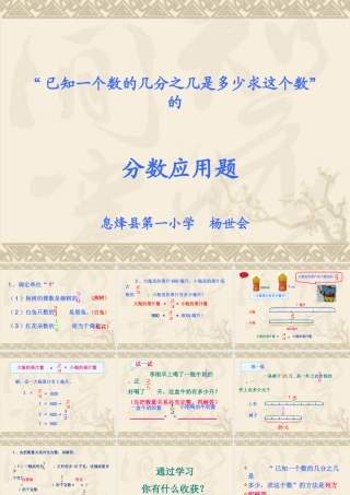 列方程解决有关分数的简单实际问题