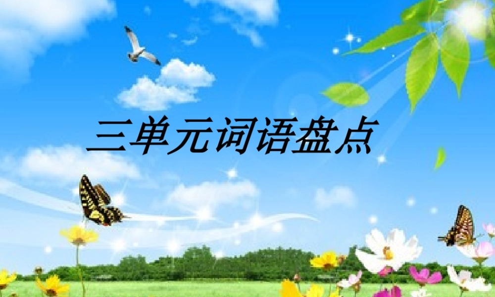 三单元词语盘点