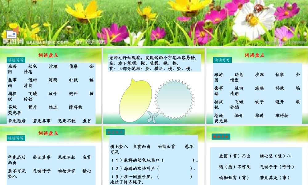 三单元词语盘点