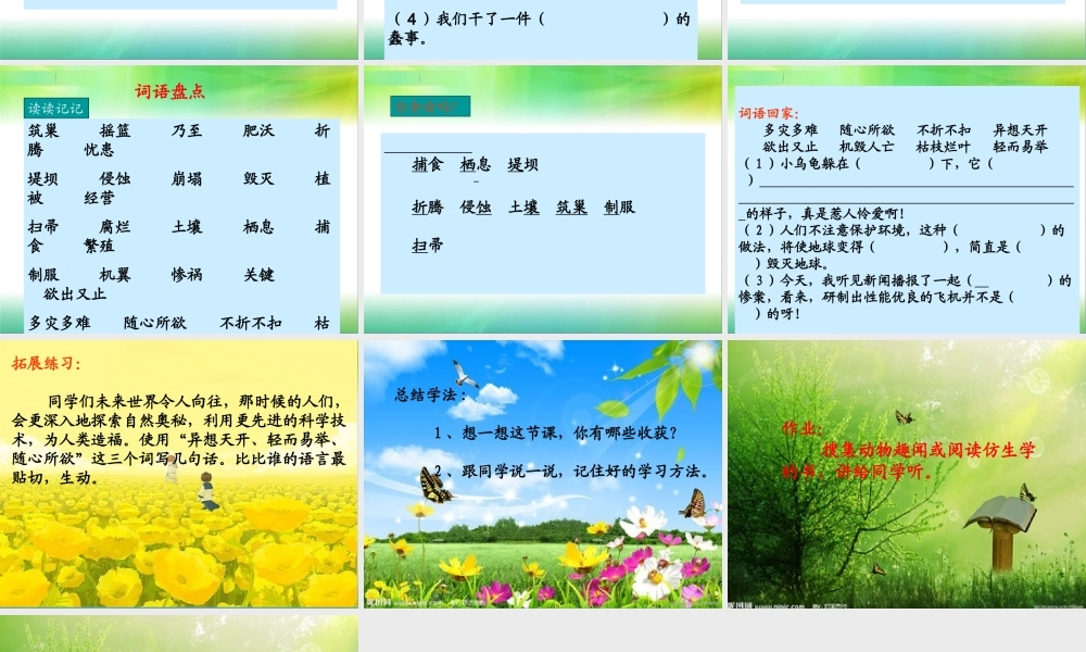 三单元词语盘点