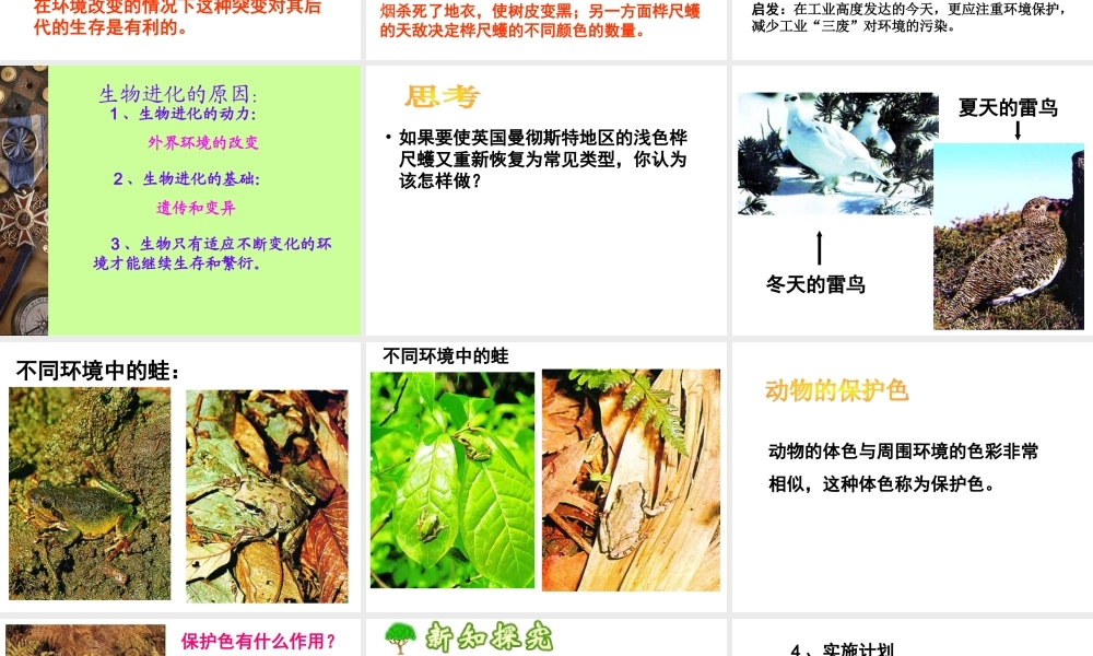 第三节生物进化的原因课件