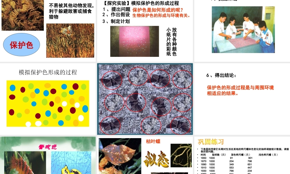 第三节生物进化的原因课件