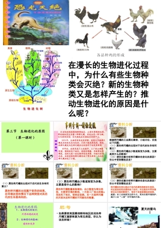 第三节生物进化的原因课件