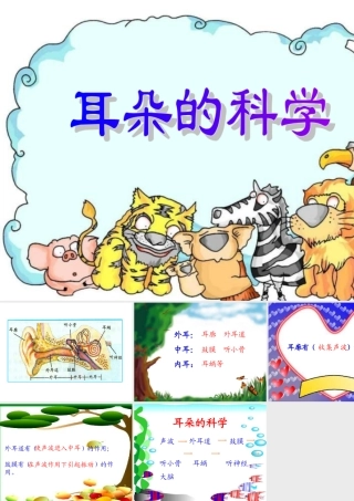 小学科学耳朵的构造