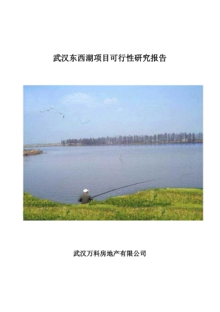 武汉某房地产项目可行性研究报告