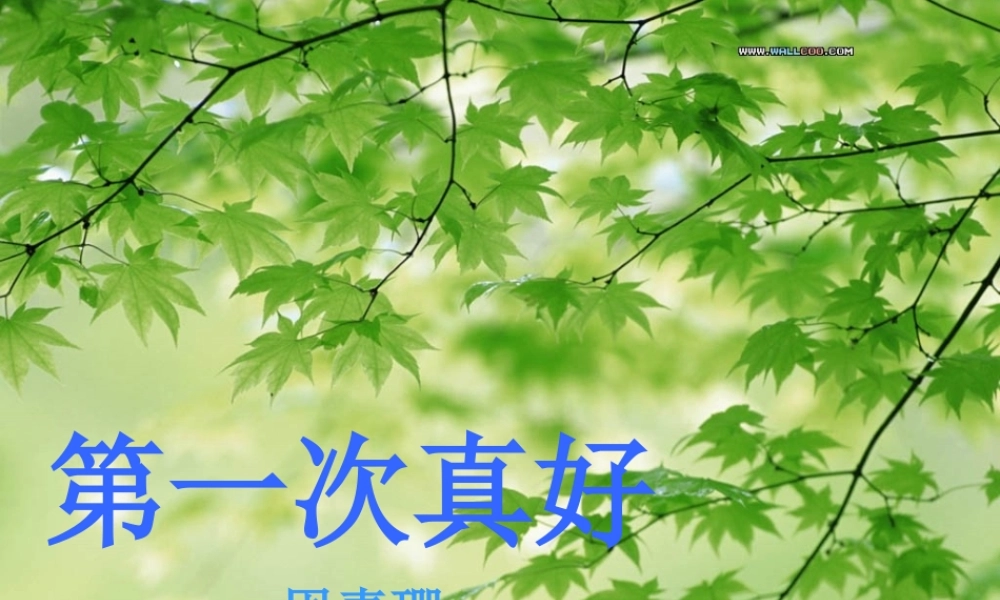 七年级语文第一次真好