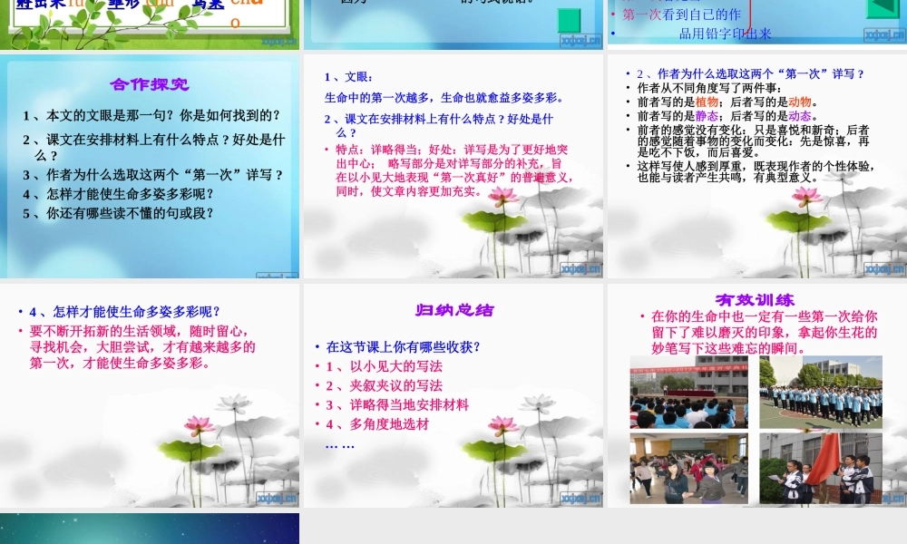 七年级语文第一次真好