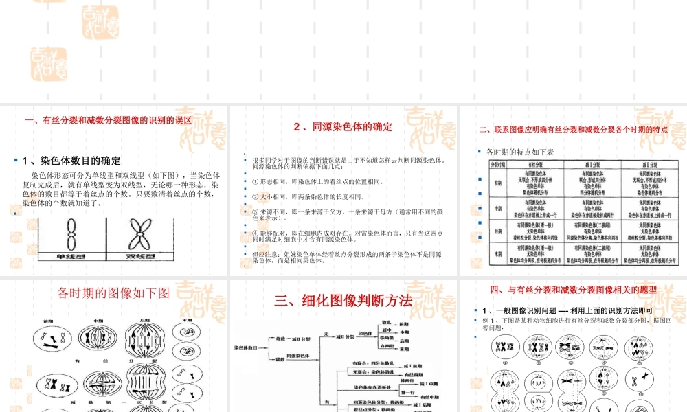 减数分裂和有丝分裂区别