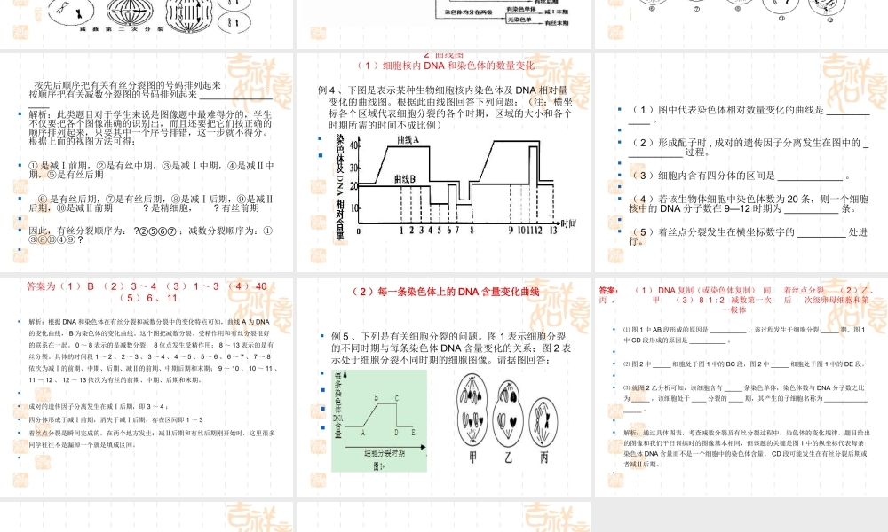 减数分裂和有丝分裂区别