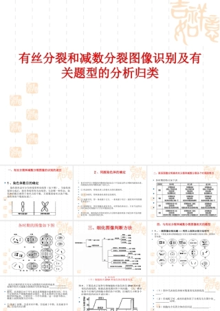 减数分裂和有丝分裂区别