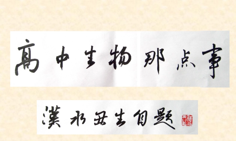 光合作用（一）