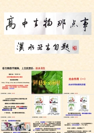 光合作用（一）