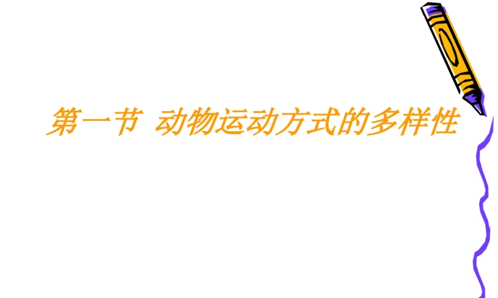 动物运动的方式