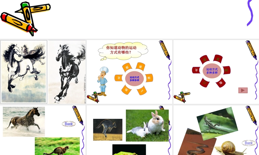 动物运动的方式