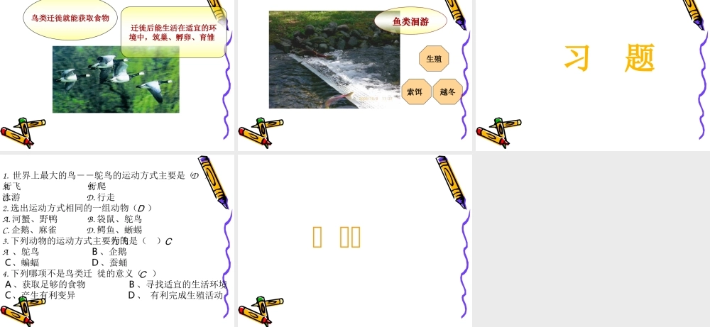 动物运动的方式