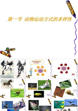 动物运动的方式