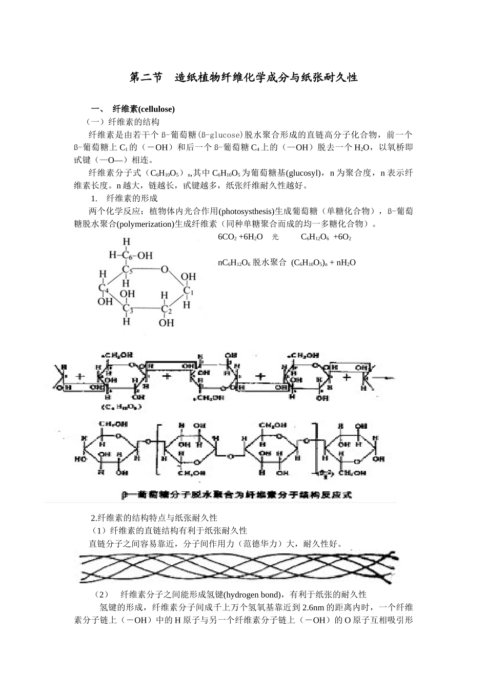 第二节造纸植物纤维化学成分与纸张耐久性_第1页