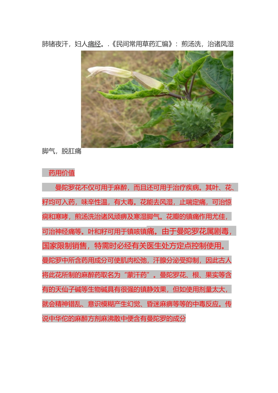 42种生长在农村的中草药_第2页