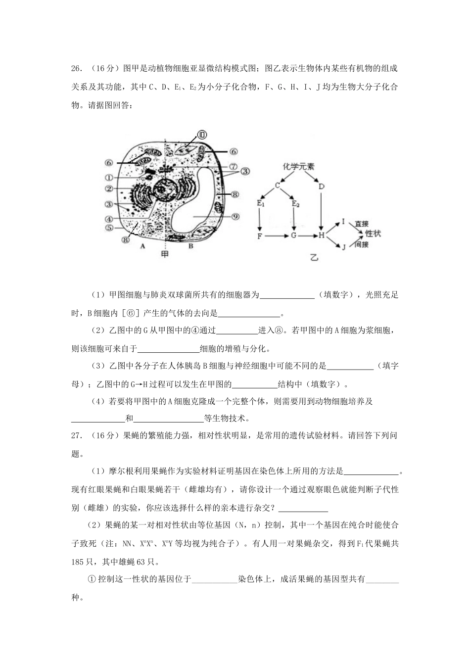 理综生物试题3_第3页
