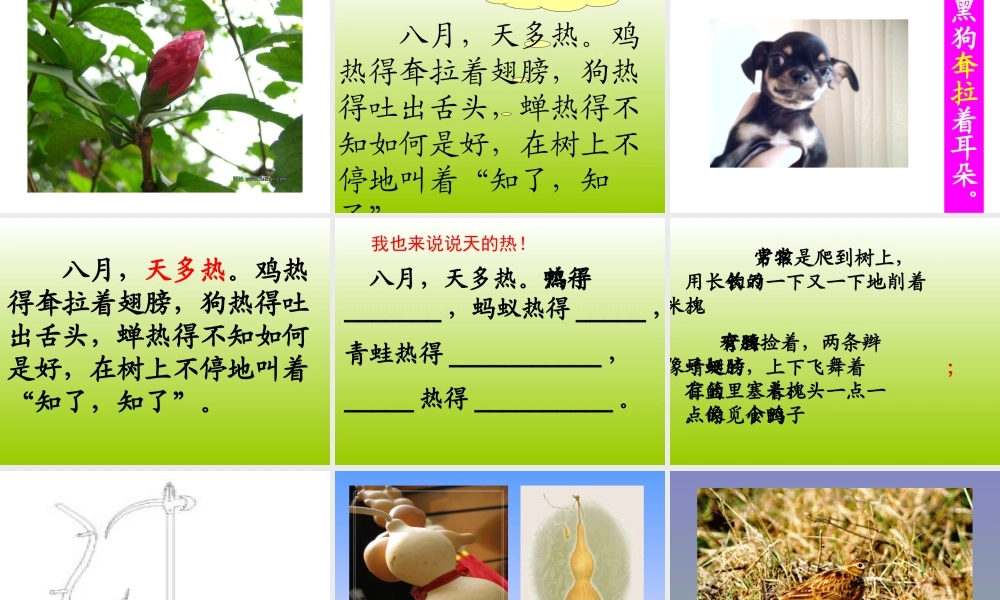 槐乡的孩子课件