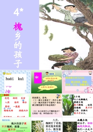 槐乡的孩子课件