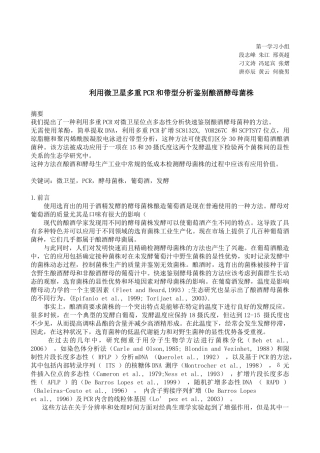 利用小随体多重PCR和带型分析鉴别酿酒酵母菌株