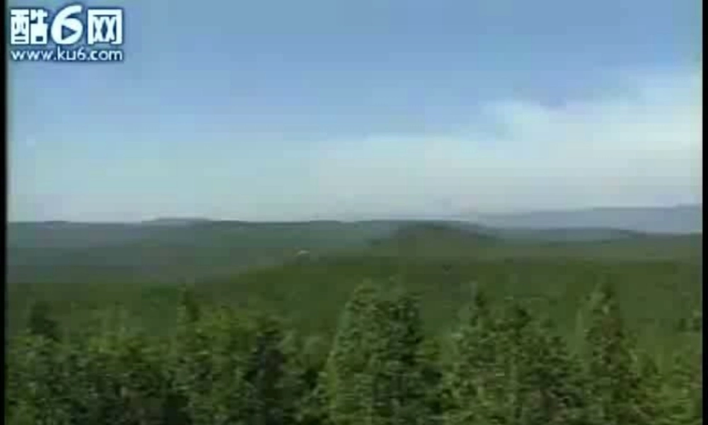 《美丽的小兴安岭》上课