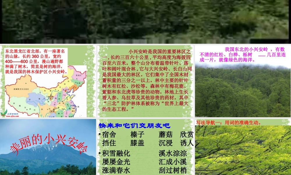 《美丽的小兴安岭》上课