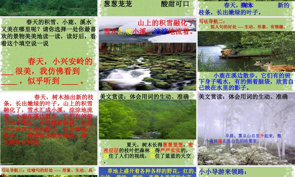 《美丽的小兴安岭》上课