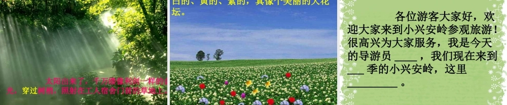 《美丽的小兴安岭》上课