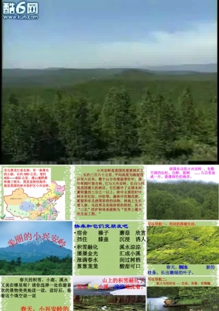 《美丽的小兴安岭》上课