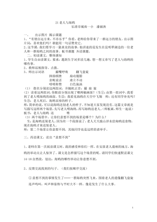 老人与海鸥教案及反思