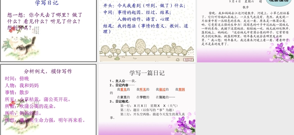 教学怎样写日记