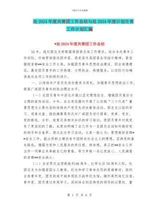 处2024年度共青团工作总结与处2024年度计划生育工作计划汇编