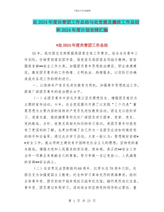处2024年度共青团工作总结与处党建及廉政工作总结和2024年度计划安排汇编