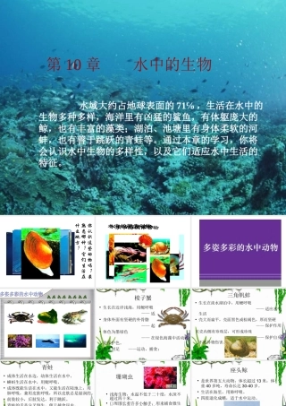 水中的动物第一课时
