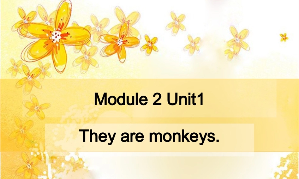 Theyaremonkeys课件