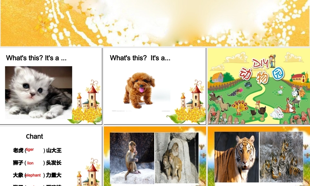 Theyaremonkeys课件