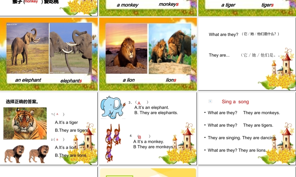 Theyaremonkeys课件