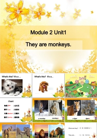 Theyaremonkeys课件