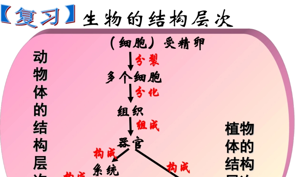 单细胞生物（新）