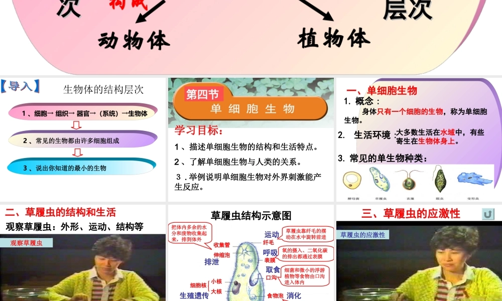 单细胞生物（新）